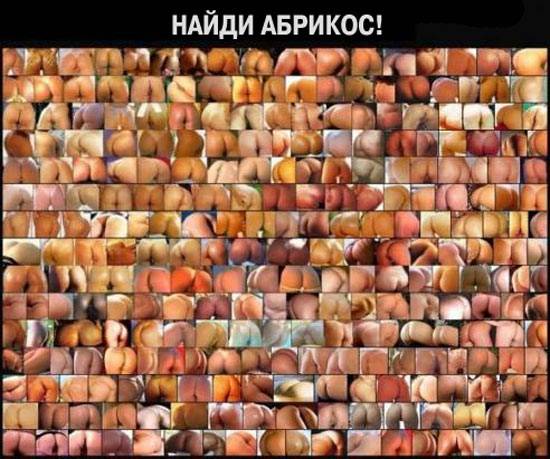 абрикос всего один (550x459, 52Kb)