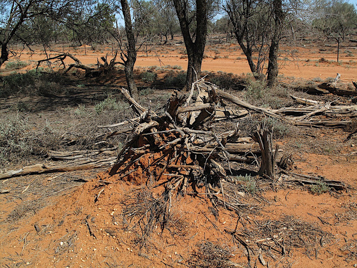 Национальный Парк Манго - Mungo National Park 86488