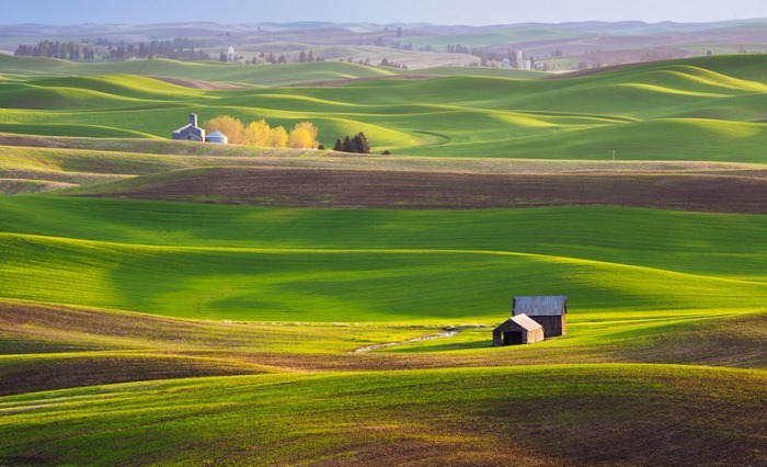 3925073_palouse6 (700x426, 98Kb)