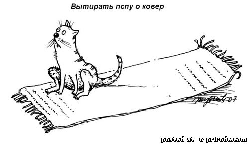 Kot_umet_3 (500x289, 23Kb)