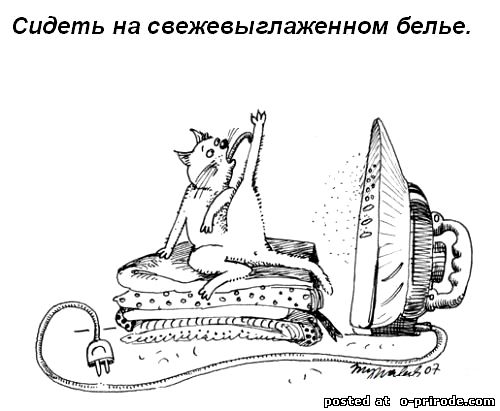 Kot_umet_9 (500x411, 37Kb)