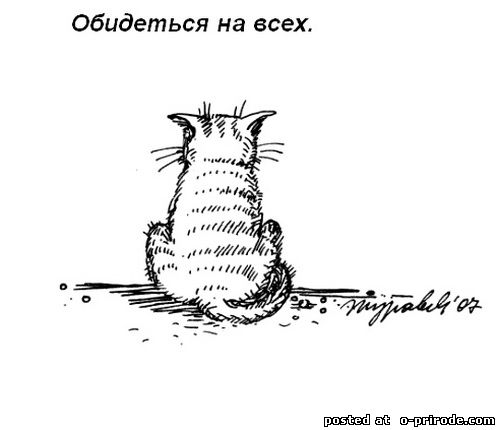 Kot_umet_11 (500x430, 23Kb)