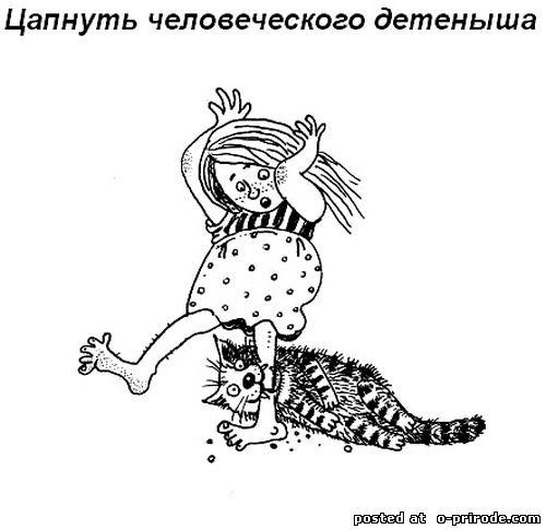 Kot_umet_13 (500x484, 36Kb)