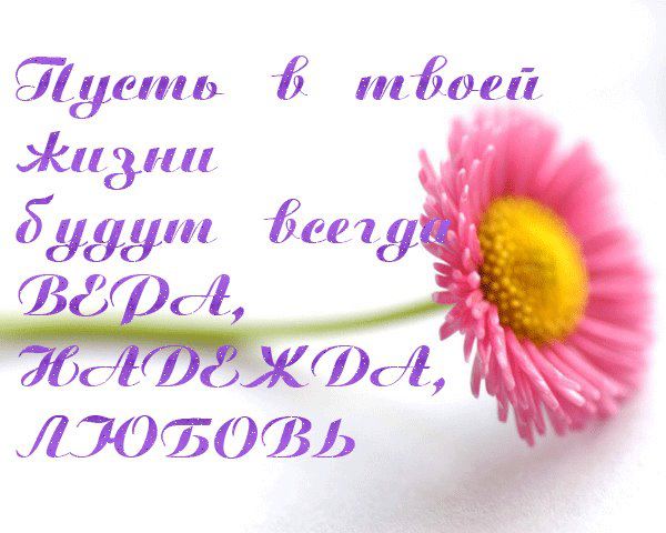 Поздравление веры с днем имени 402