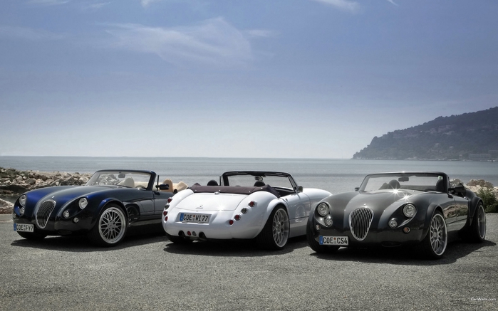автомобили Wiesmann фото 2 (700x437, 180Kb)