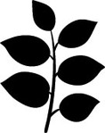  shaded_leaves (135x171, 4Kb)