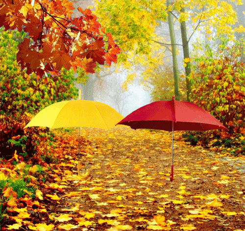 http://img0.liveinternet.ru/images/attach/c/5/92/239/92239868_1349251714_92220833_91402706_91163687_0_9a1f3_7579b4ac_L.gif