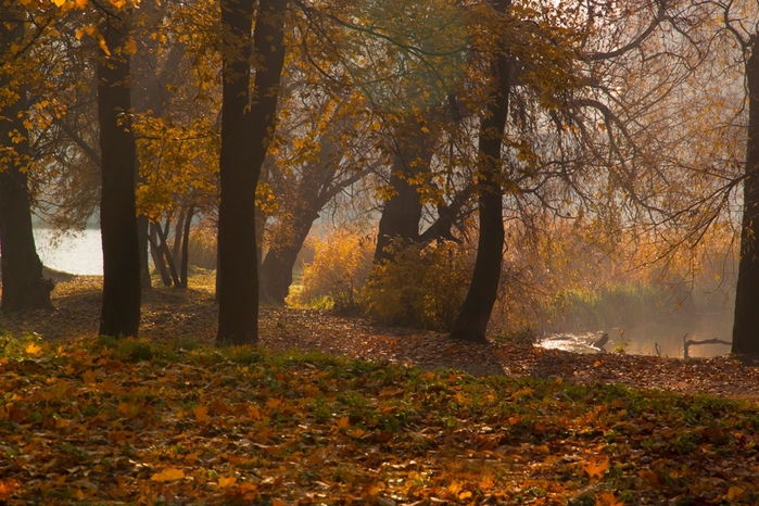 3303834_1o_1 (700x466, 299Kb)