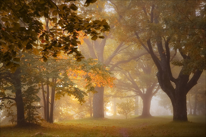 3303834_1o_10 (700x466, 163Kb)