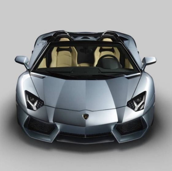 Lambo LP700-4
Cabrio 11 (560x558, 30Kb)