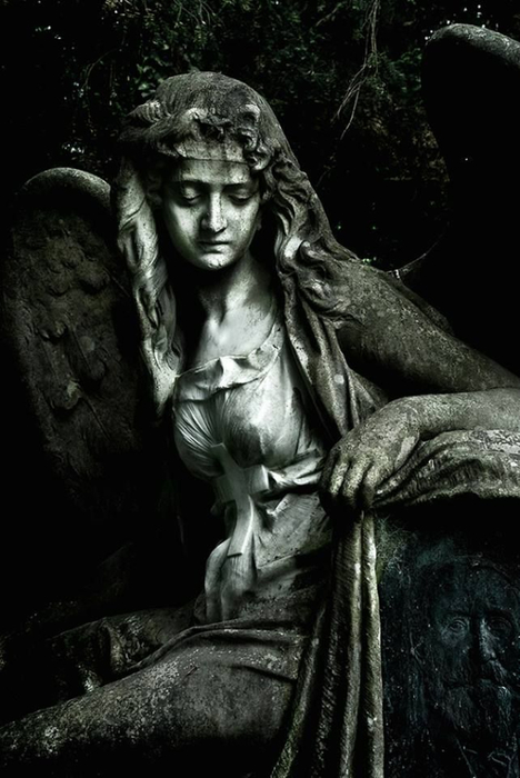 8df28b7a291aefd22faa5a85e7a7e6cc (468x700, 246Kb)