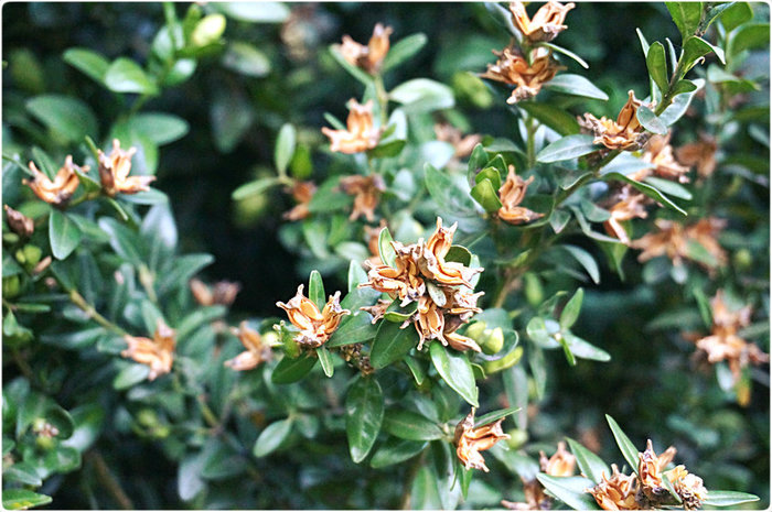 2 (700x465, 110Kb)