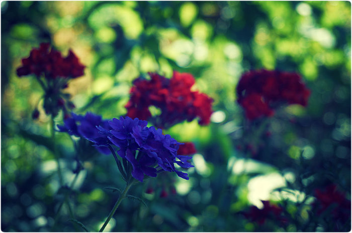 7 (700x465, 73Kb)