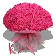 3201191_pink101228x228 (228x228, 16Kb)