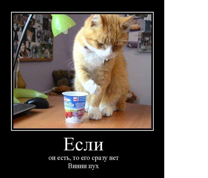 демотиваторы с котами  рыжий йогурт кот (700x598, 219Kb)