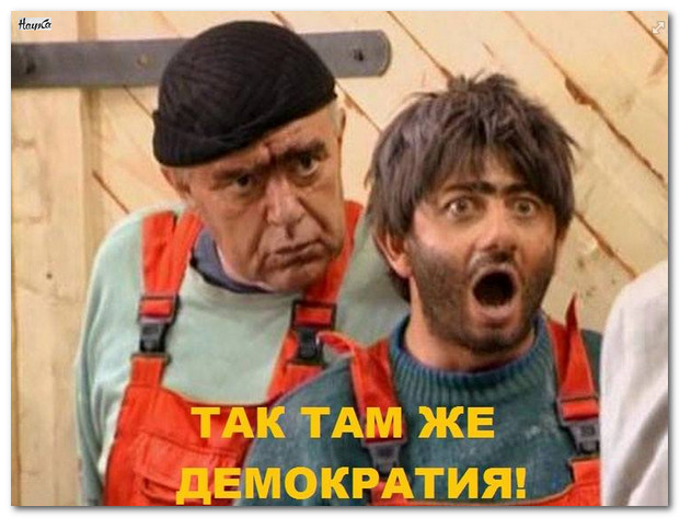 Как правильно сажать виноград весной черенками 93