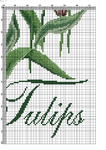  Rembrandt Tulips-008 (494x700, 343Kb)