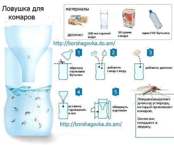 Бутылка от комаров своими руками Бутылка от комаров своими руками