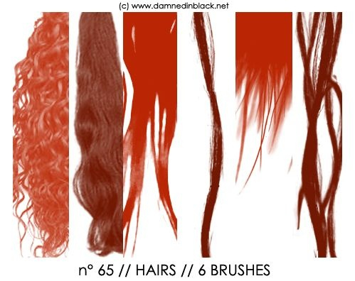 296-photoshop-brushes-hairs-ii (499x396, 152Kb)