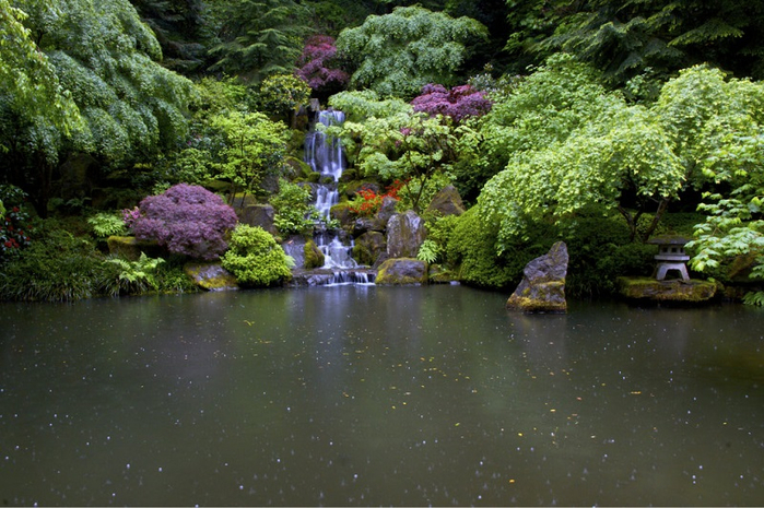 6 (700x465, 429Kb)