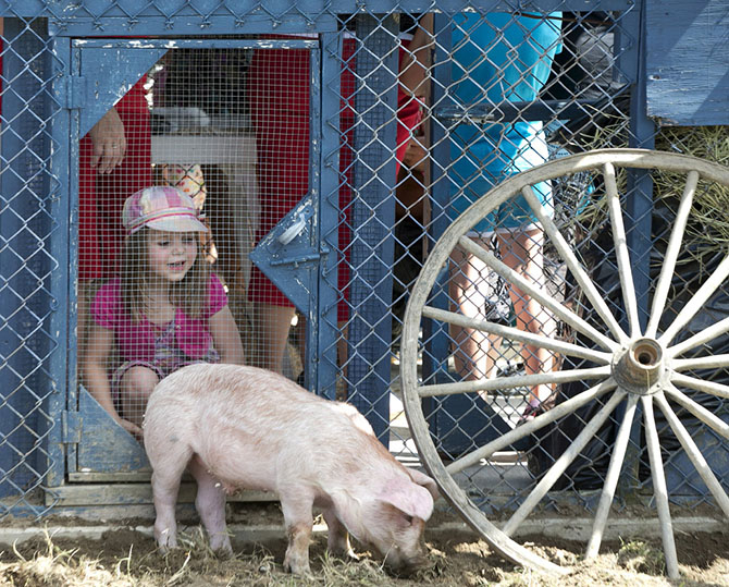 Du Cochon 2 (670x539, 452Kb)