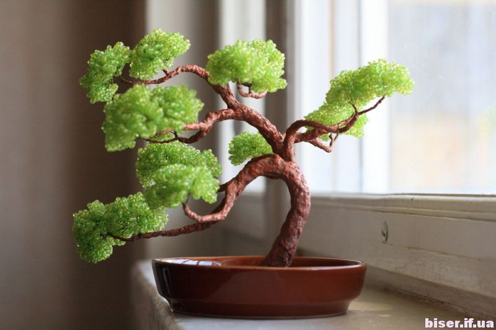 classic-bonsai-1 (700x466, 239Kb)