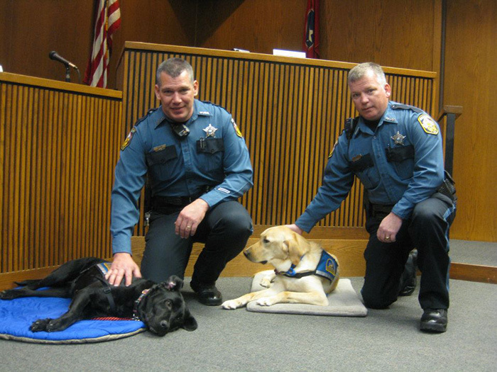 Courthouse Dogs 1 (700x525, 352Kb)