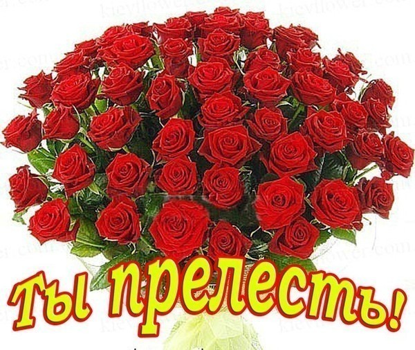 -- -------- (600x505, 115Kb)