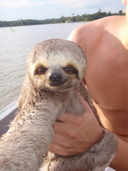 these_funny_animals_640_43 (450x600, 36Kb)