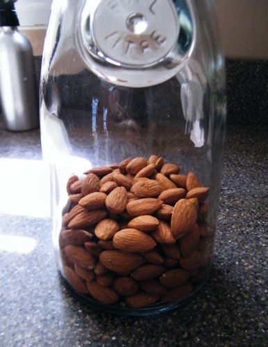 almond1 (386x500, 35Kb)