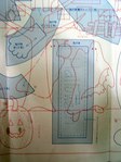  P1010133 (432x576, 40Kb)