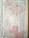  P1010143 (432x576, 46Kb)