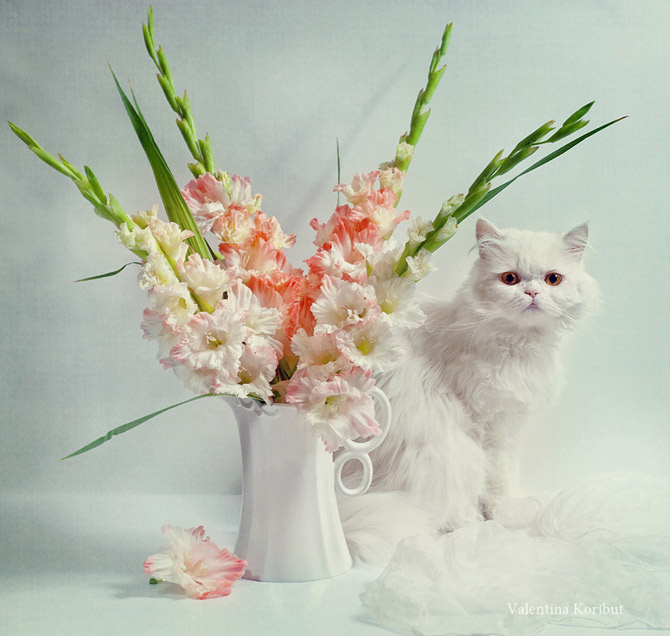 Amazing_Still_Life_Photography_Valentina_Koribut_4 (670x636, 90Kb)