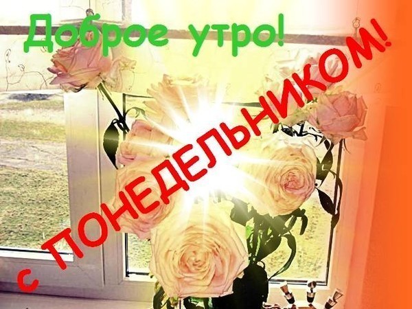 http://img0.liveinternet.ru/images/attach/c/6/89/650/89650474__DOBROGO_UTRA_S_PONEDELNIKOM.jpg