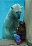  bear,polar,polar,bear,friendship,girl,hiding-45e216a924fcd7d34e530135ba42a6a7_h (351x500, 37Kb)