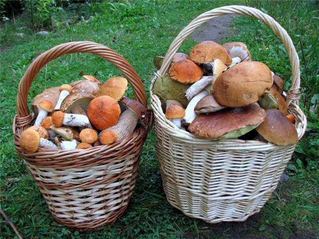 (640x480, 103Kb)