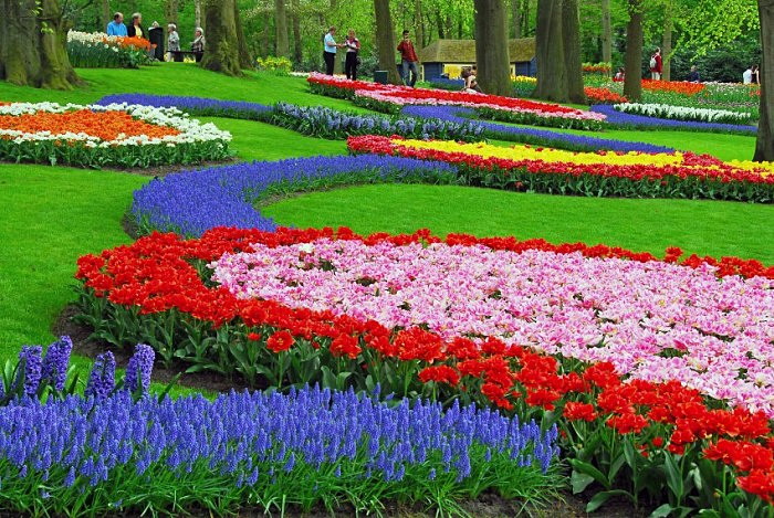 3925073_Keukenhof_tulip_park_6 (700x469, 176Kb)