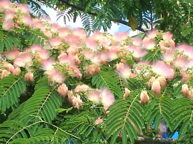 2 (640x480, 104Kb)