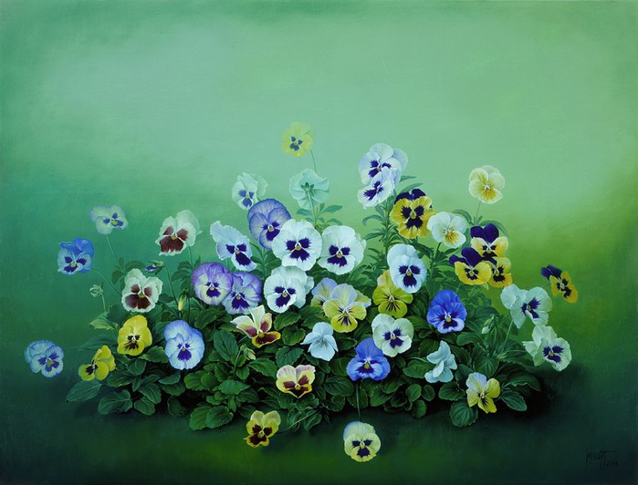 THE PANSY PLOT 46x56 cms Oil on canvas 1998 (700x532, 87Kb)