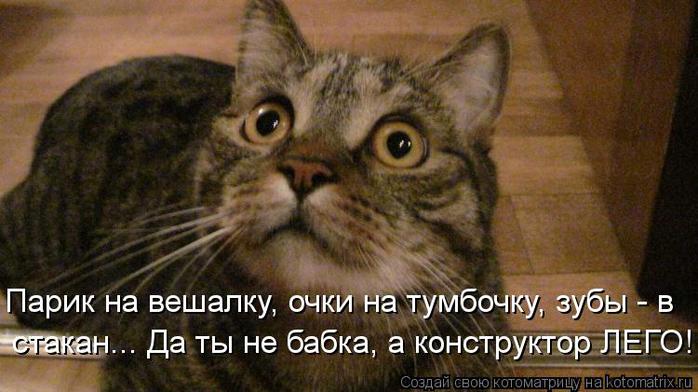 Котоматрица-2012. Выпуск 31 kotomatritsa_6W (700x392, 49Kb)