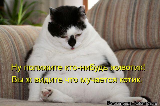 Котоматрица-2012. Выпуск 31 kotomatritsa_9L (640x426, 47Kb)