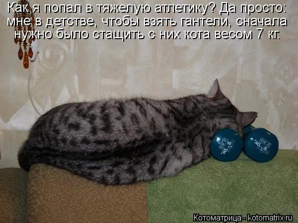 Котоматрица-2012. Выпуск 31 kotomatritsa_cp (600x450, 49Kb)