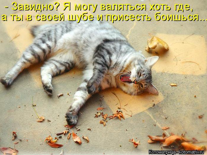 Котоматрица-2012. Выпуск 31 kotomatritsa_Ki (700x524, 71Kb)