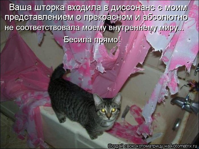 Котоматрица-2012. Выпуск 31 kotomatritsa_nv (700x525, 66Kb)