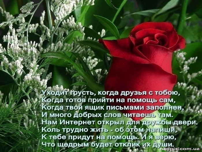 Все проститутки Москвы: путаны, шлюхи, индивидуалки Визитка услуги образцы и шаблоны. Визитки