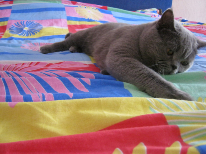IMG_0887 (700x525, 384Kb)