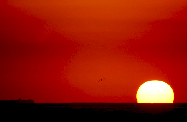 best_sunsets_21 (650x424, 110Kb)