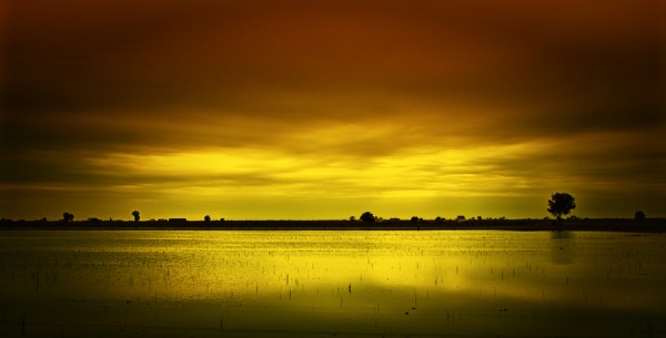 2 (600x305, 26Kb)