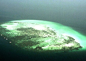 Остров из пемзы в Тихом океане (295x212, 29Kb)