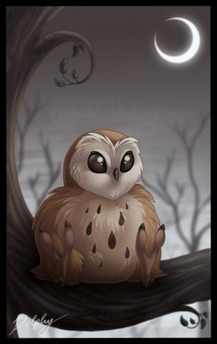 1228913126_fluffy_owl_by_dolphy (315x500, 30Kb)
